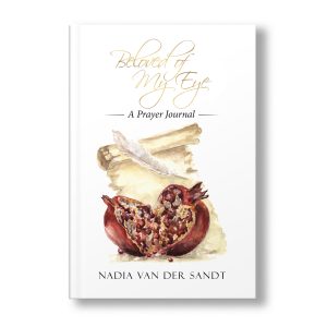 PRAYER JOURNAL - Beloved of my eye